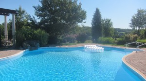 Beautiful backdrop to the pool.