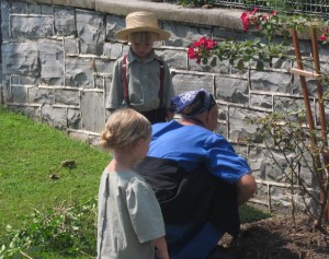 Working in the garden