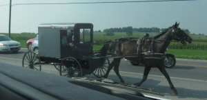 Horse drawn buggy