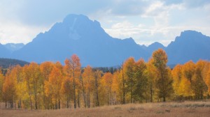 The "Fall" colours are just awesome.